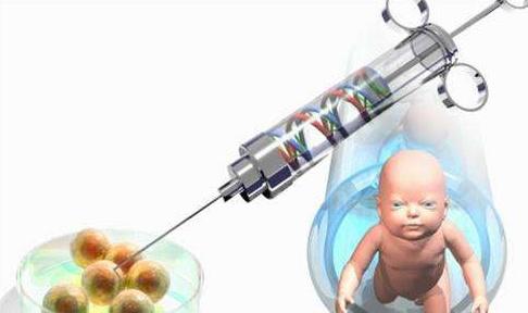 体外受精 IVF-ET